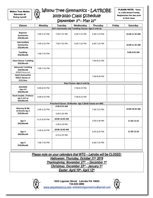 Gymnastic Class Schedules | Willow Tree Gymnastics